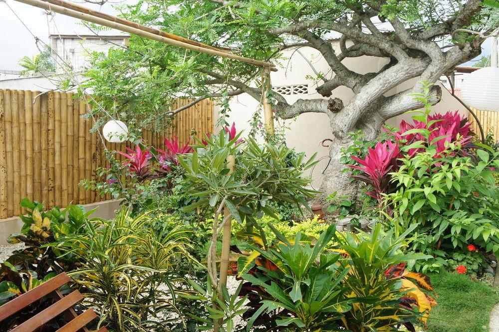 Rincon D'Olon Boutique Hotel Esterno foto